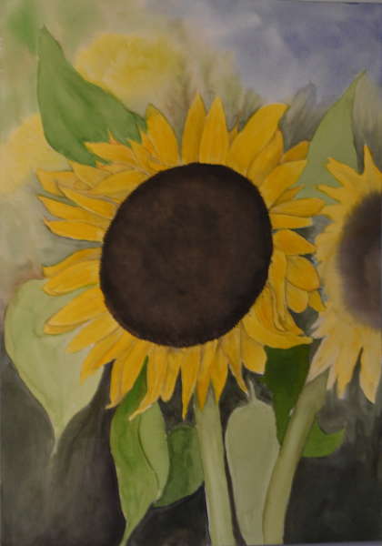 GC The Sunflower
