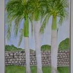 Dominican Palm